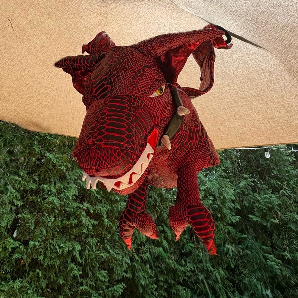 Red Dragon Kids Costume